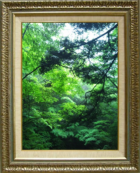 奥湯河原B.jpg