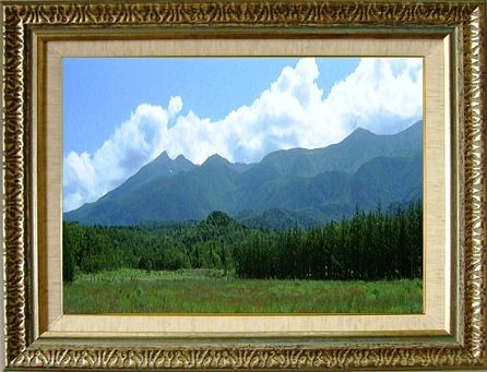 北海道・知床.jpg